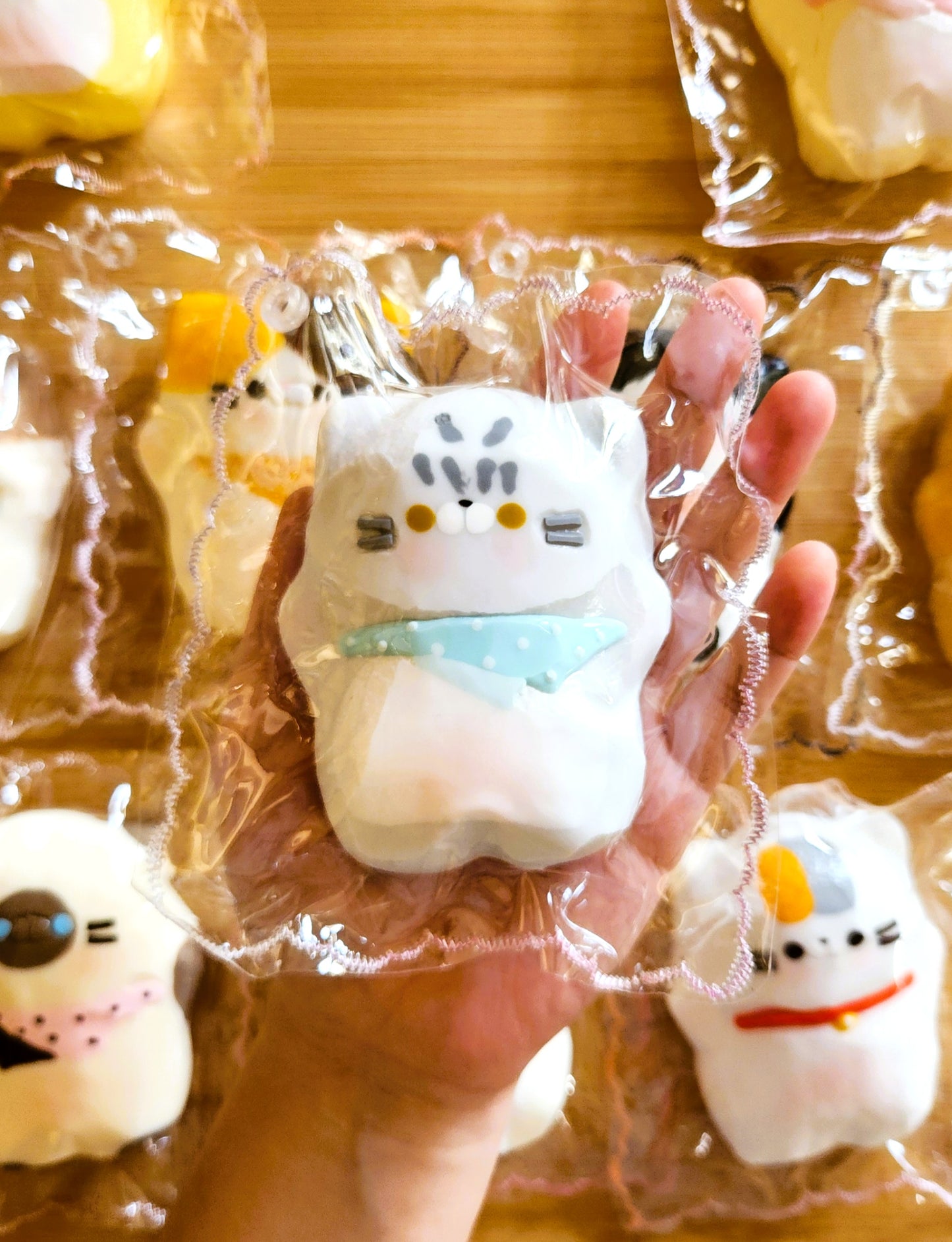 American Shorthair Flat Cat Squishy