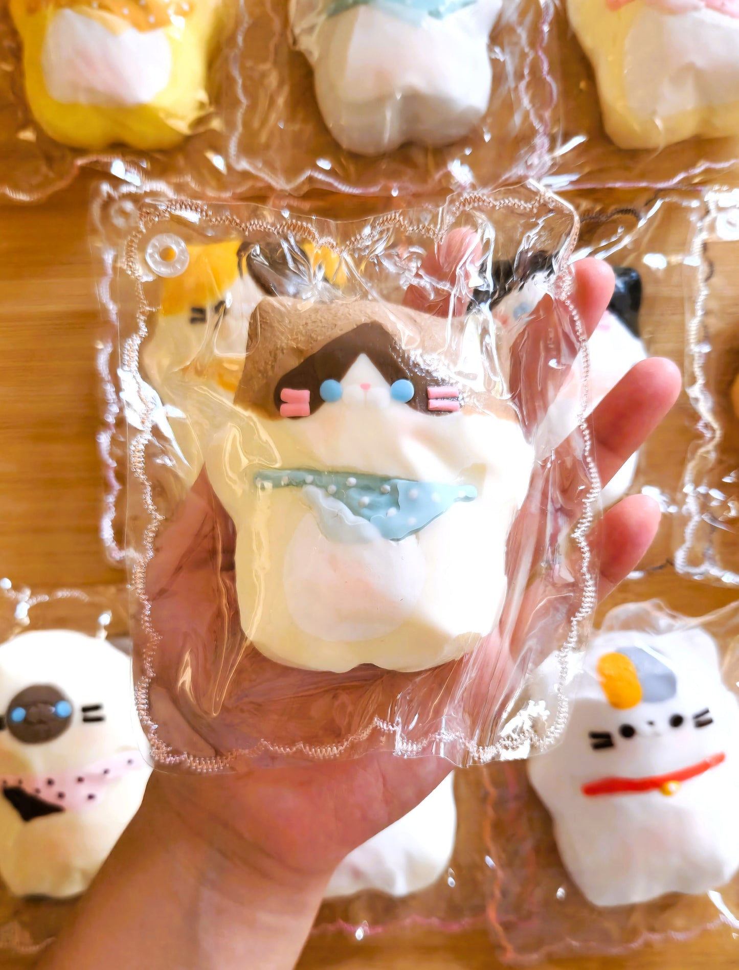 Ragdoll Flat Cat Squishy