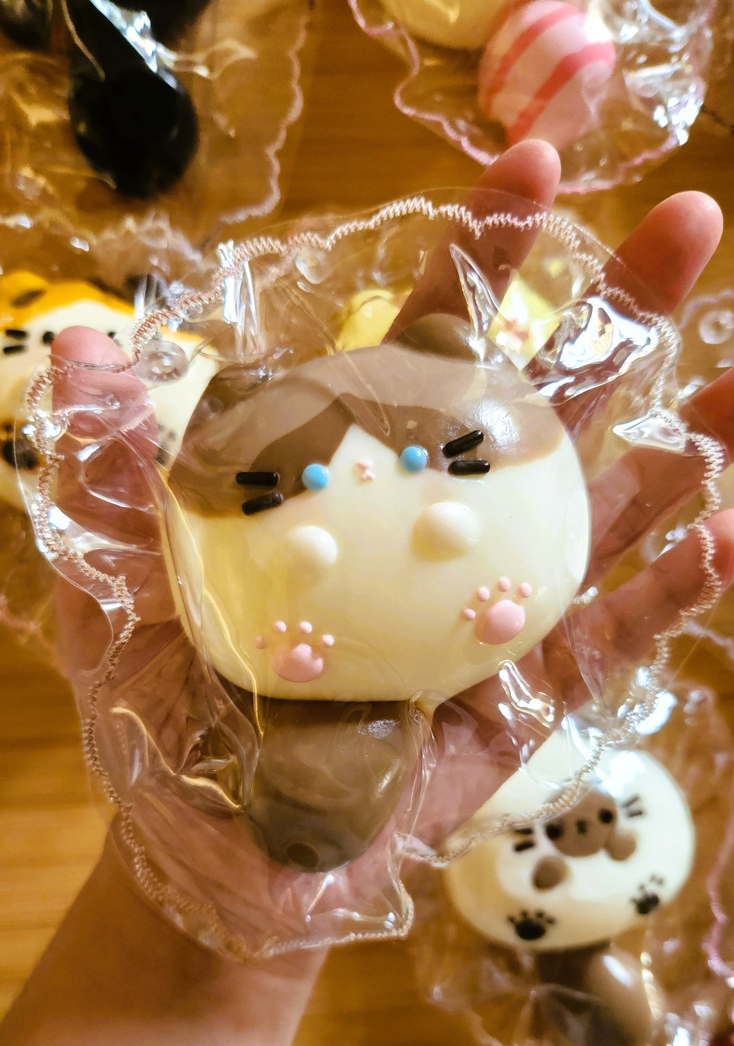 Ragdoll Chibby Cat Squishy