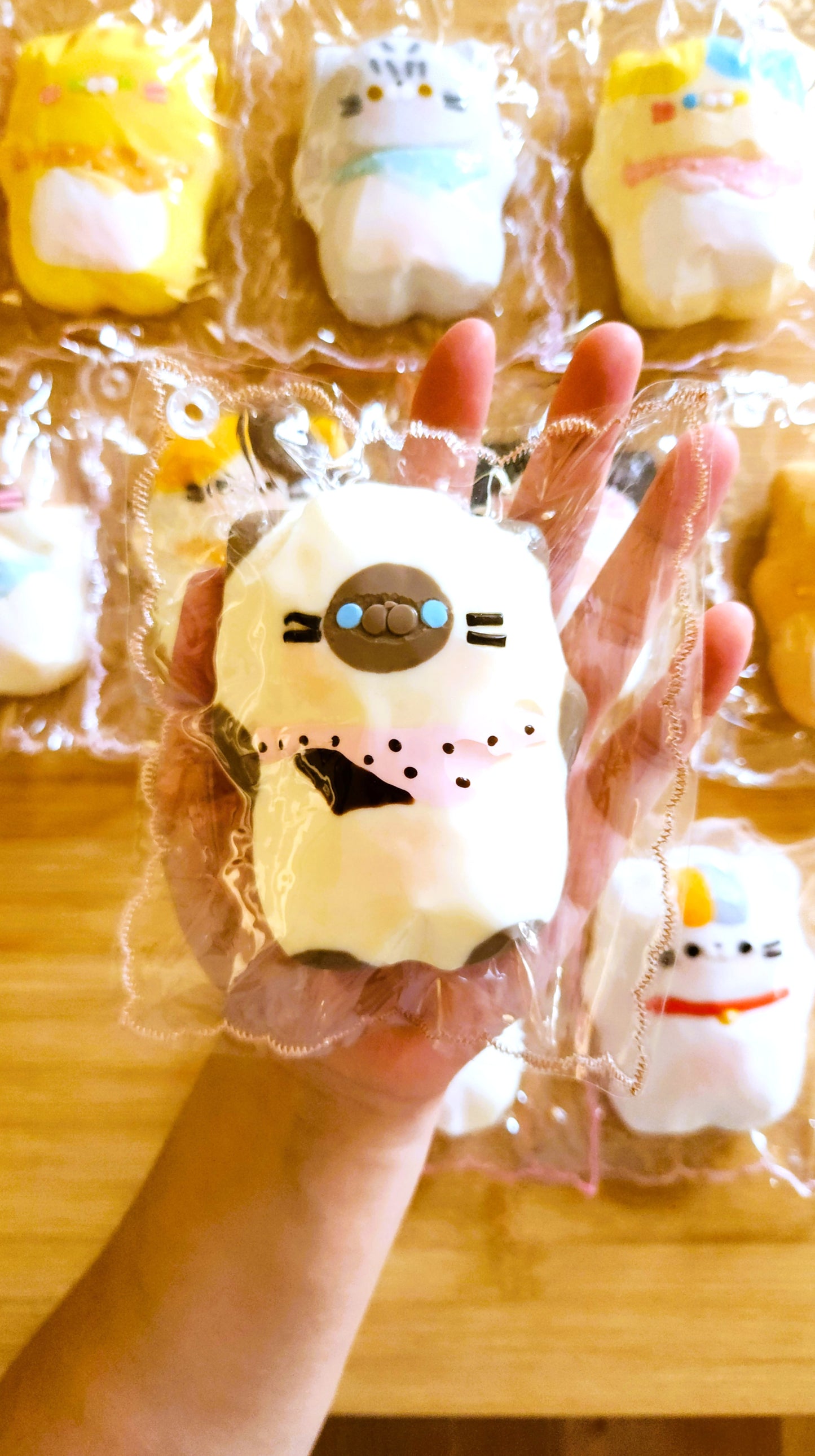 Siamese Flat Cat Squishy