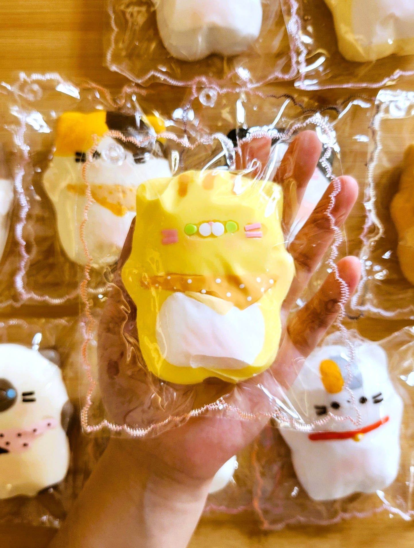 Golden Chinchilla British Shorthair Flat Cat Squishy